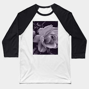 Grey Scale Rose Photo Baseball T-Shirt